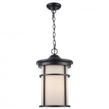  40386 BK-FR - Outdoor Hanging Lights Black